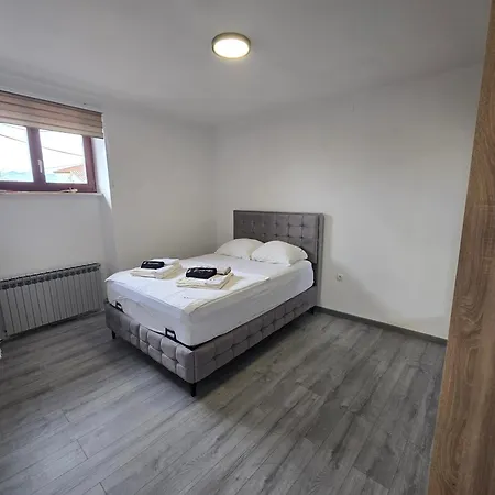 Smiljana 36 *
